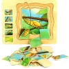 Butterfly Life Cycle Wooden Jigsaw Puzzle