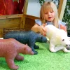 16 Inch White, Brown & Black Bear Bundle
