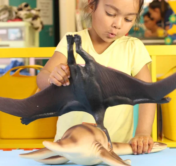 Jumbo Flying Dinosaur Toy - 20 Inch