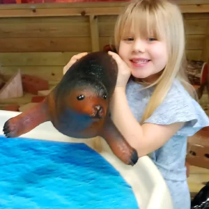 Jumbo Sea Animal Toy - 23" Seal