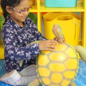 Jumbo Sea Animal Toy - 20" Sea Turtle
