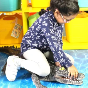 2 Large Crocodile Toys - 47 & 20 inch