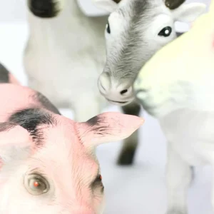 Large Farm Animal Toys for Small World Play - Set of 5