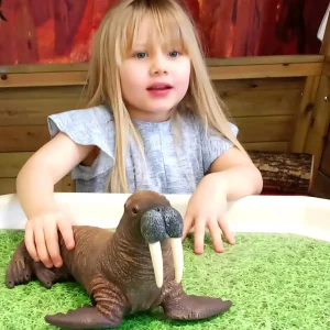 Large Sea Animal Toys - 5pc Walrus Family