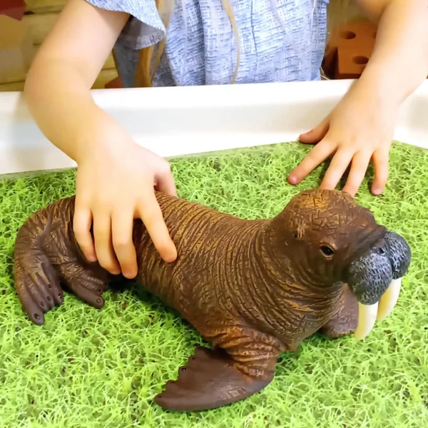 Large Sea Animal Toys - 5pc Walrus Family