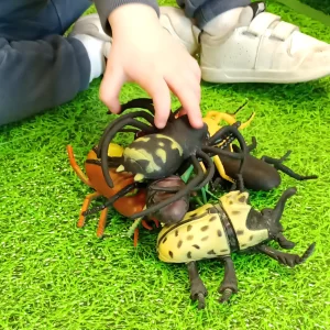 Medium Minibeast Insects 8pcs - Realistic Detailing & Durable