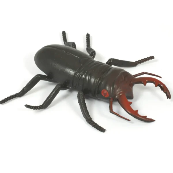 Medium Minibeast Insects 8pcs - Realistic Detailing & Durable