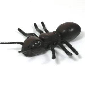 Medium Minibeast Insects 8pcs - Realistic Detailing & Durable