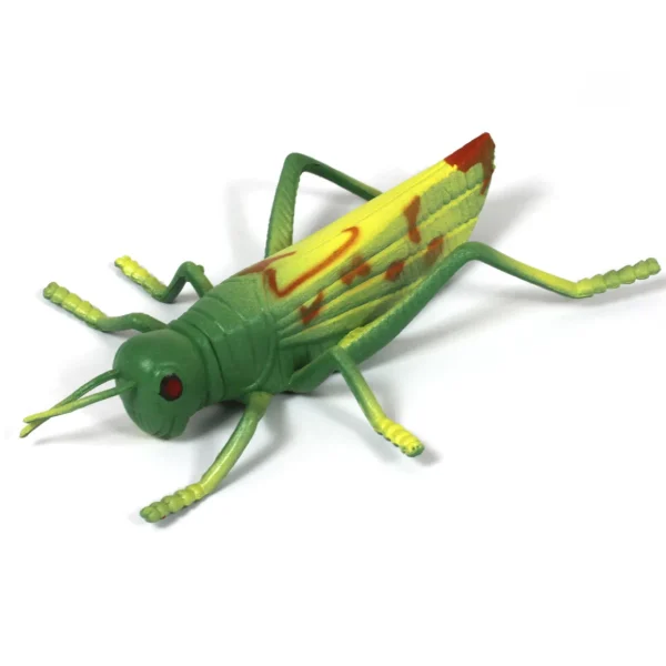 Medium Minibeast Insects 8pcs - Realistic Detailing & Durable
