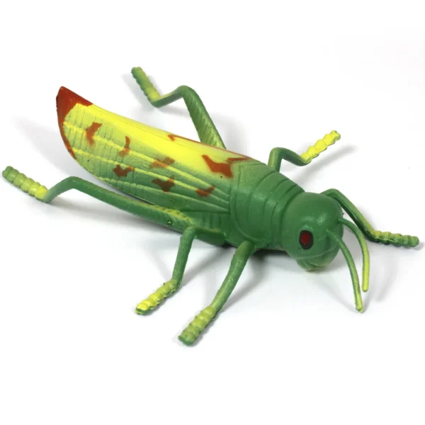Medium Minibeast Insects 8pcs - Realistic Detailing & Durable