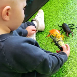 Medium Minibeast Insects 8pcs - Realistic Detailing & Durable