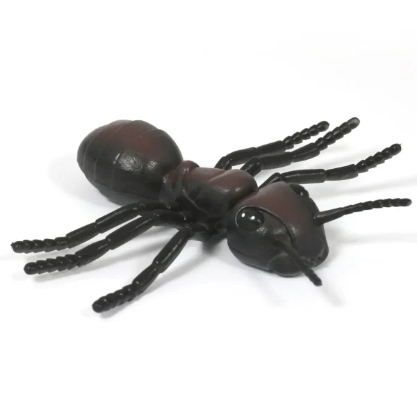 Medium Minibeast Insects 8pcs - Realistic Detailing & Durable