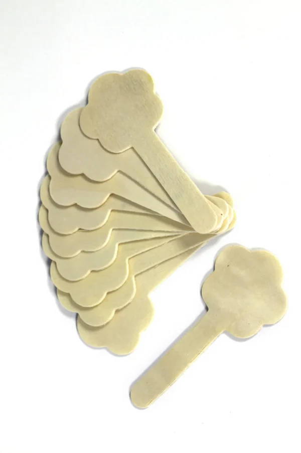 20 Nature Shaped Wooden Craft Sticks