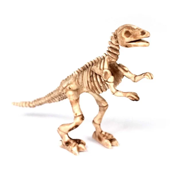 408 pc Dinosaur Skeleton Count & Match Set