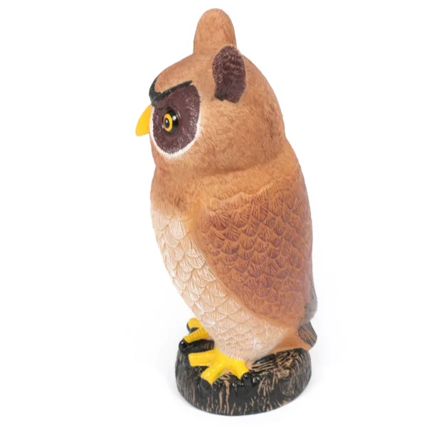 3PC Jumbo Owl & Bat Bundle