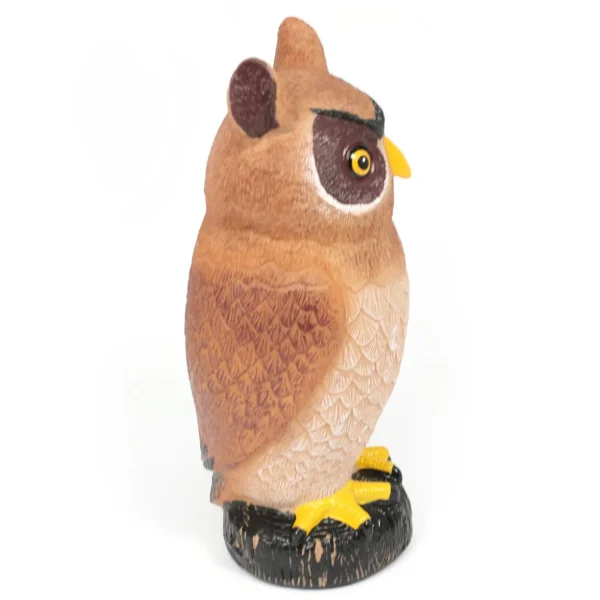 3PC Jumbo Owl & Bat Bundle