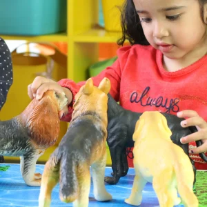 14pcs Large Soft Feel Dogs And Cats
