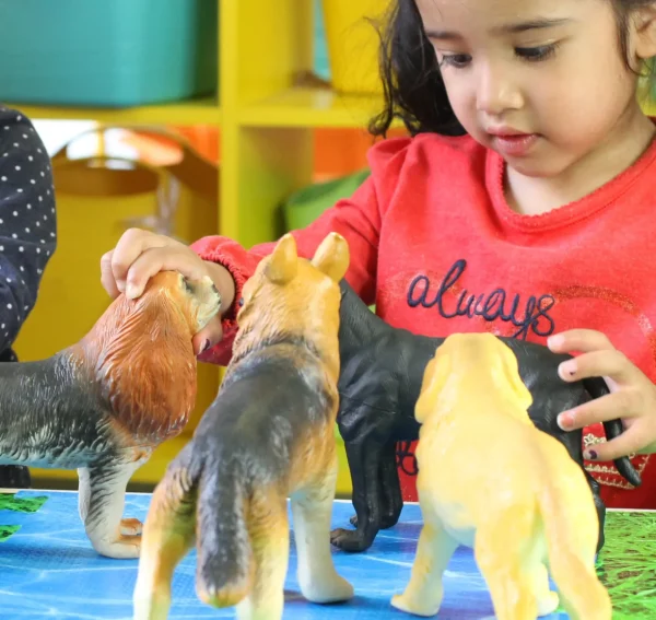 14pcs Large Soft Feel Dogs And Cats