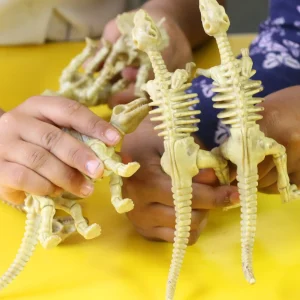 6-Piece Realistic Toy Dinosaur Skeleton Bones Set - Ideal for Pretend Play