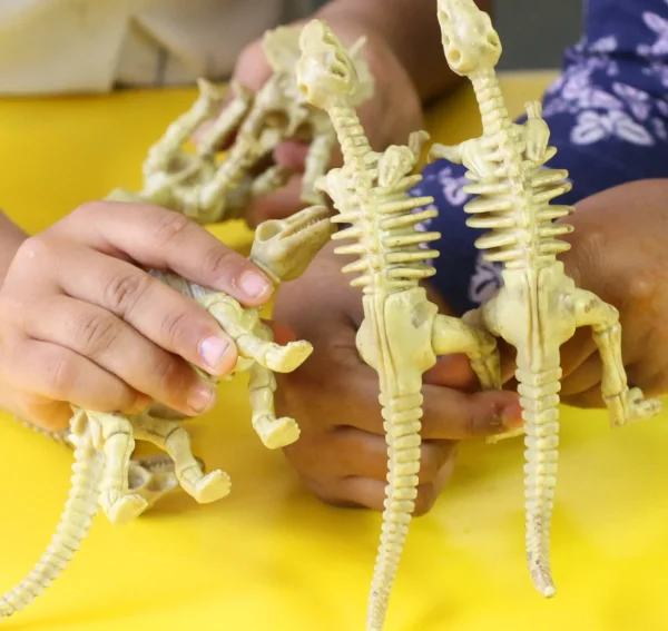 6-Piece Realistic Toy Dinosaur Skeleton Bones Set - Ideal for Pretend Play