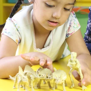 6-Piece Realistic Toy Dinosaur Skeleton Bones Set - Ideal for Pretend Play