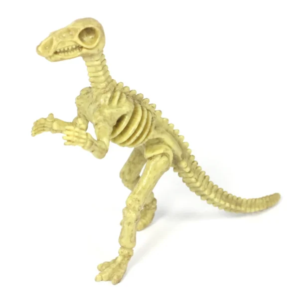 6-Piece Realistic Toy Dinosaur Skeleton Bones Set - Ideal for Pretend Play