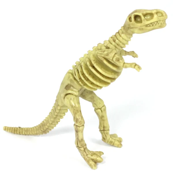6-Piece Realistic Toy Dinosaur Skeleton Bones Set - Ideal for Pretend Play