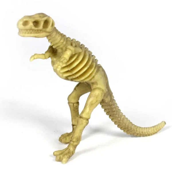 18-Piece Toy Dinosaur Skeleton Bones Set for Hands-On Learning & Adventure