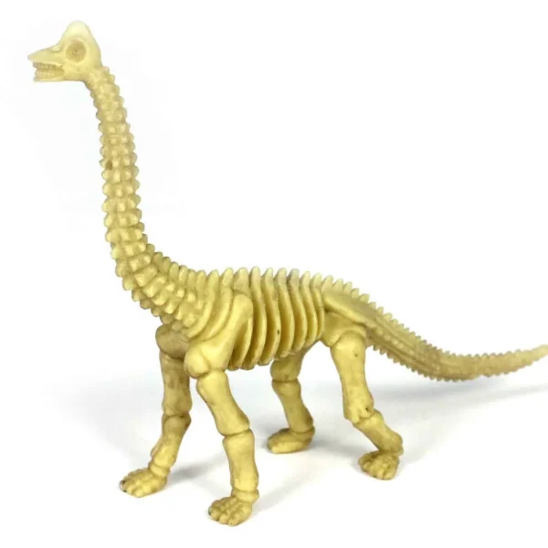 18-Piece Toy Dinosaur Skeleton Bones Set for Hands-On Learning & Adventure