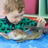 Realistic Large Crocodile Toy - 13 Inch