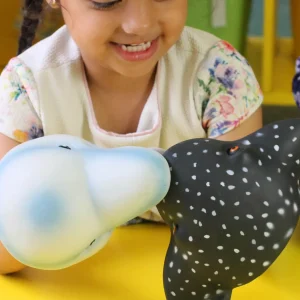 Sea Animal Hand Puppets - Set of 4