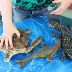 Sea Life Animal Toys - Turtle, Crocodile, Seal