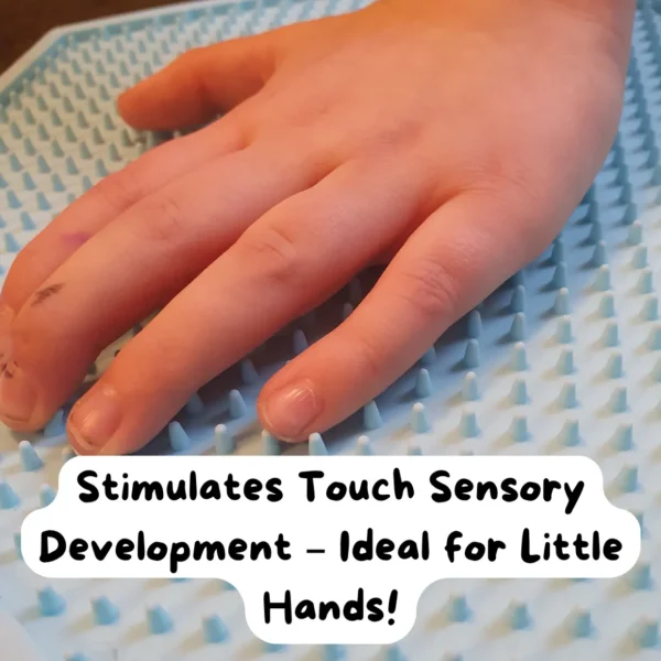 Sensory Matching Game