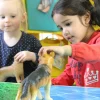 Small World Jumbo Soft Feel Dogs Collection