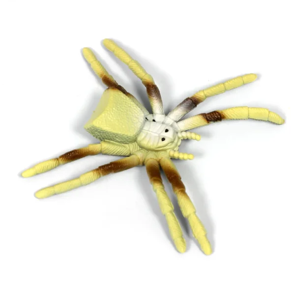 Small World Spider Bundle - 17pc