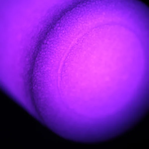 6 Soft Foam Light Up Batons for Sensory Play and Visual Tracking