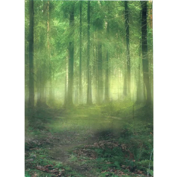 Themed Backdrops 5 x 7ft Various Designs