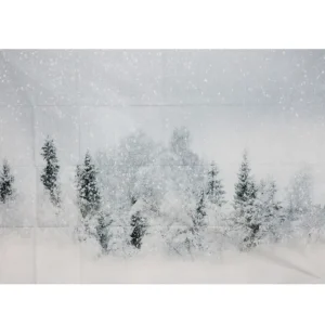 Themed Backdrops 5 x 7ft Various Designs