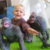 Toy Gorilla Family Of 3