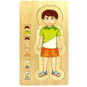 Wooden Human Body Boy 5-Layered Jigsaw Puzzle for Fun & Learning