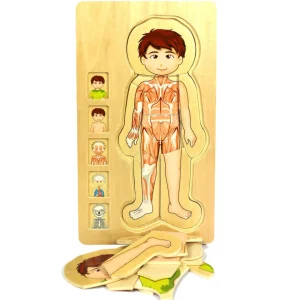 Wooden Human Body Boy 5-Layered Jigsaw Puzzle for Fun & Learning