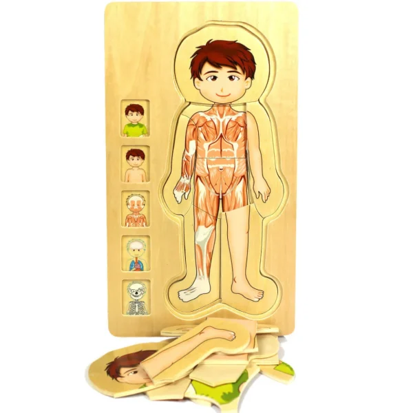 Wooden Human Body Boy 5-Layered Jigsaw Puzzle for Fun & Learning