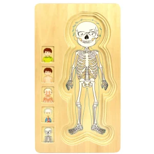 Wooden Human Body Boy 5-Layered Jigsaw Puzzle for Fun & Learning