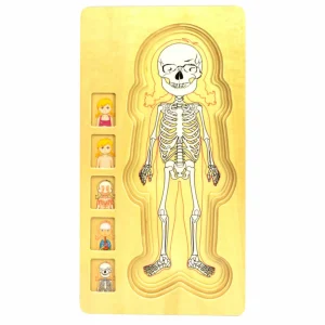WOODEN HUMAN BODY GIRL 5-LAYERED JIGSAW PUZZLE FOR FUN & LEARNING