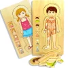 Wooden Jigsaw Puzzle Bundle - Human Body Boy & Girl