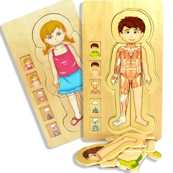 Wooden Jigsaw Puzzle Bundle - Human Body Boy & Girl