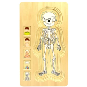 Wooden Jigsaw Puzzle Bundle - Human Body Boy & Girl