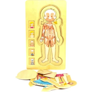 Wooden Jigsaw Puzzle Bundle - Human Body Boy & Girl